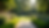 Wide angle view of a beautifully landscaped garden