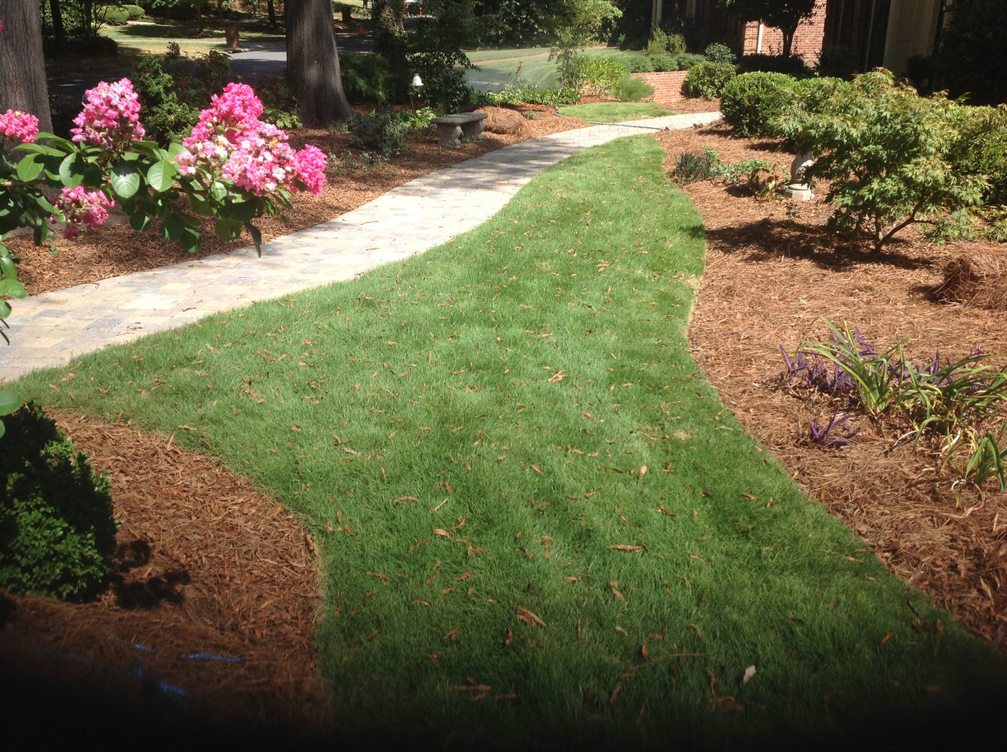 Curved stone walkway through a lush garden landscape